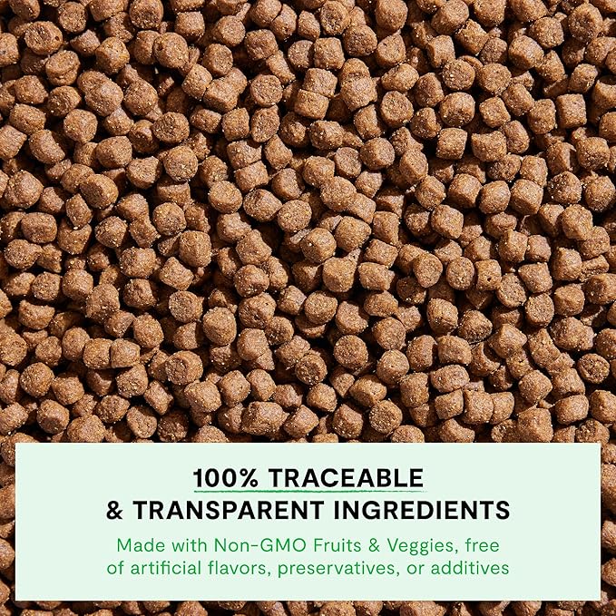 Open Farm, Ancient Grains Dry Dog Food for Puppies, Protein-Rich & Nutrient Dense, 90% Animal Protein Mixed with Non-GMO Fruits, Veggies and Superfoods, Chicken & Salmon Recipe for Puppy, 22lb Bag