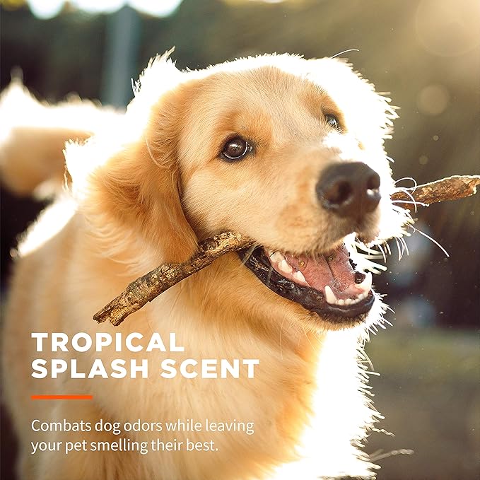 Wet Ones for Pets Multipurpose Dog Wipes with Aloe Vera, Tropical Splash Scent - Pet Bathing Wipes with Wet Lock Seal for Dog Paws & All Over Use, 100 Count