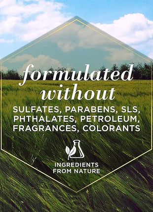 Burt's Bees for Pets Itch Soothing Shampoo with Honeysuckle, 95% Natural Origin Formulas, Dog Cleanser Wash for Itchy Dogs, Skin Relief, 16 oz