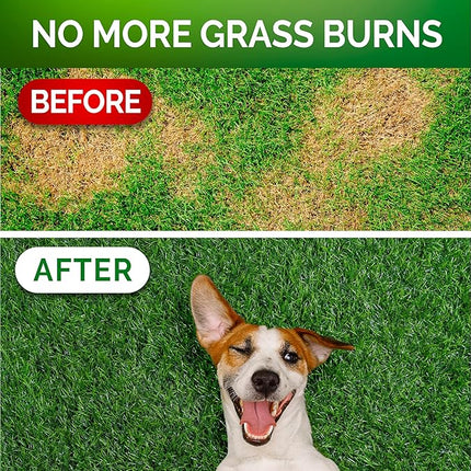 Grass Burn Spot Chews - Dog Urine Neutralizer for Lawn - 120 Grass Green Treats, Rocks - Pee Grass Spot Saver Caused by Dog Urine - Probiotics - Digestive Enzymes - Made in USA