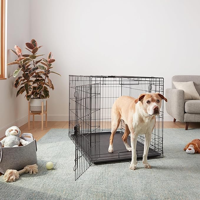 Amazon Basics Durable, Foldable Metal Wire Dog Crate with Tray, Double Door, 48 x 30 x 32.5 in, Black