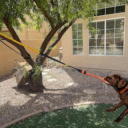 Dog Bungee Toy 20.35 ft Reinforced Interactive Rope with Two Replacement Refills - Dog Rope Toys Interactive Toys