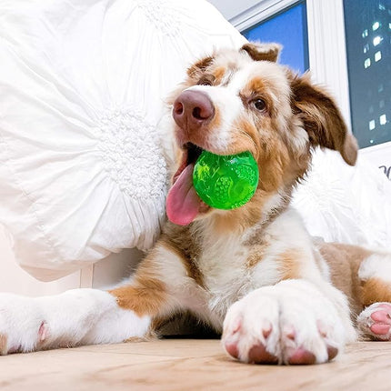 Hyper Pet DuraSqueak Dog Ball Toy, Interactive Dog Toys that Float and Squeaks for Playing, Fetching and Retrieving-Great Alternative to Traditional Tennis Balls Green 2.5 Inch