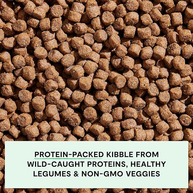Open Farm, Grain-Free Dry Dog Food, Complete & Balanced Kibble, Sustainably & Ethically Sourced Ingredients, Non-GMO Veggies & Superfoods to Support Overall Health, Wild-Caught Salmon Recipe, 4lb Bag