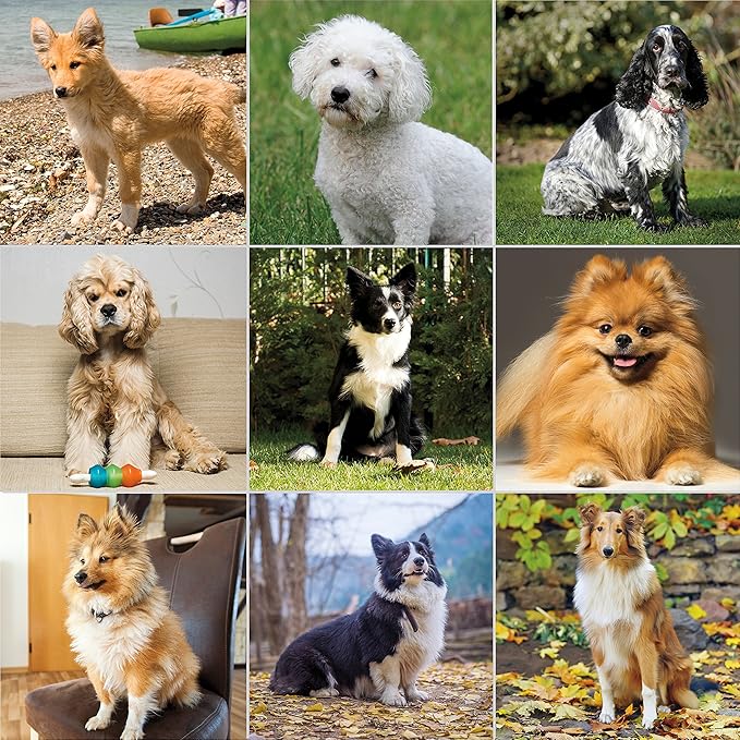 Wahl Premium Flea, Hair Pick, & Finishing Comb with Ergonomic Grips for Dog Grooming, Brushing, Detangling, and Flea Removal – Model 858503