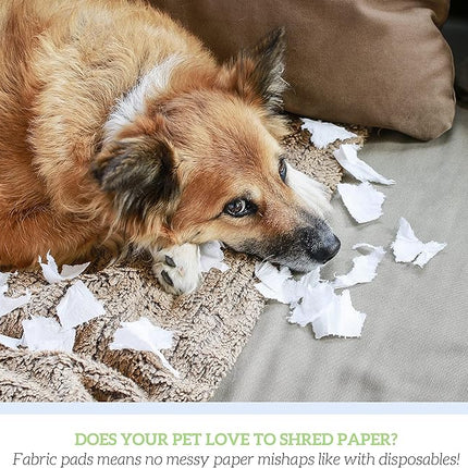 GREEN LIFESTYLE Washable Pee Pads for Dogs - Thick Heavy Absorbent Waterproof Pet Training Pads - Puppy Pads - for Puppy Playpen, Crate, Whelping Box, Potty Training (Pack of 2 - 18x24)