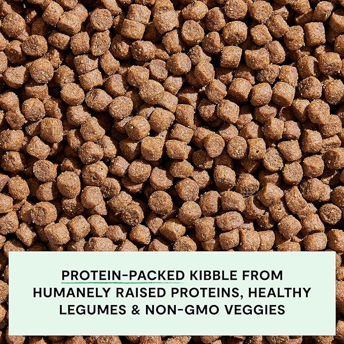 Open Farm, Grain-Free Dry Dog Food for Puppies, Protein-Packed Kibble, Sustainably & Ethically Sourced Ingredients, Non-GMO Veggies & Superfoods, Chicken & Salmon Puppy Recipe, 22lb Bag