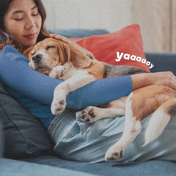 Adams Flea & Tick Home Spray with Precor, Kills Fleas, Flea Eggs, Flea Larvae, Bed Bugs, Ticks, Ants, Cockroaches, Spiders, Mosquitoes and Many Other Listed Nuisance Pests in The Home, 24 Fl Oz