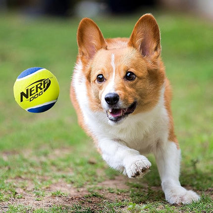 Nerf Dog Tennis Ball Dog Toy with Interactive Squeaker, Lightweight, Durable and Water Resistant, 2.5 Inches, for Small/Medium/Large Breeds, Three Pack, Assorted Colors